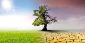 inspenet - Cambio