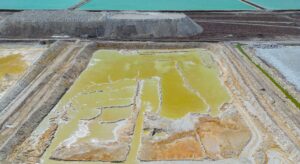 Lithium Americas