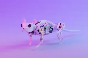 Investigadores desarrollan un ratón robot