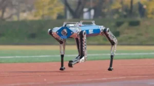 robot cuadrúpedo con IA