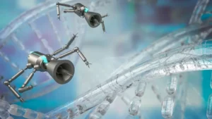 robots diminutos a partir de células humanas