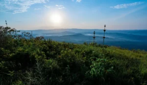 eliminación de carbono catona climate