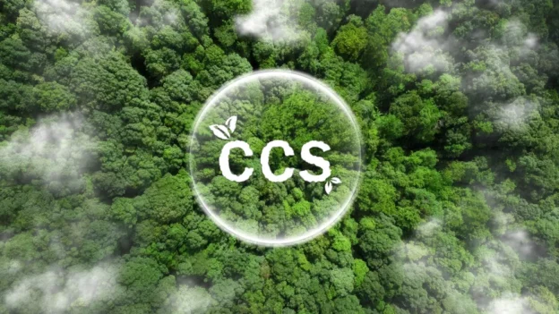 estudio de CCS
