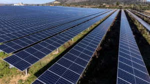 Paneles solares implementados en la planta híbrida