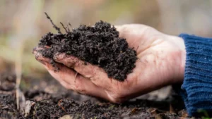 Yara desarrolla fertilizantes sostenibles y bajos en carbono