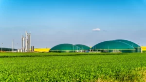 Planta con conexión de biometano