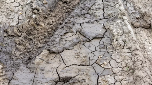 Lodo de plantas depuradoras