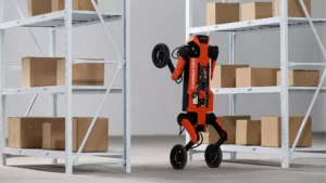 Robot cuadrúpedo W1