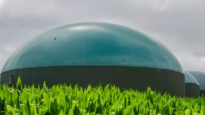 Plantas de biogás