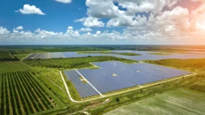 Paneles solares en cultivos