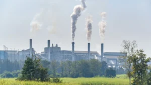 Petroleras