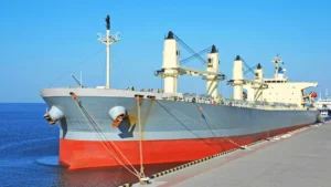 Mooring after securing the Compatibility of docks with vessels