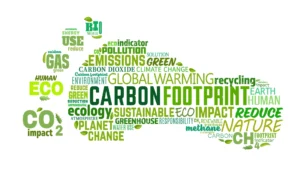 Procesos productivos sustentables: Claves para reducir la huella ambiental.