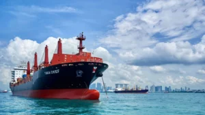 La implementación de biocombustibles en las rutas del Pacífico Sur por Swire Shipping
