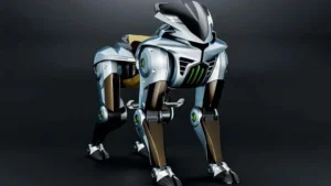 CORLEO de Kawasaki