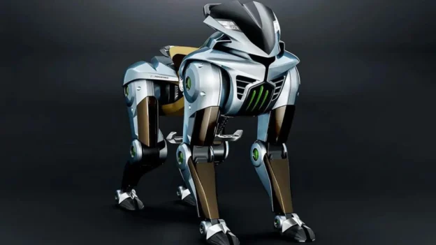 CORLEO de Kawasaki